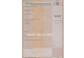 Академическая справка в Ногинске