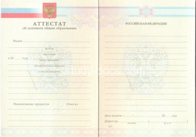 Аттестат за 9 класс 2007-2010 в Ногинске
