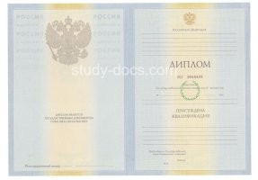 Диплом специалиста 2010-2011 в Ногинске