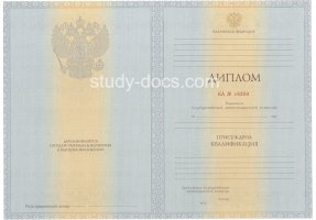 Диплом специалиста 2012-2013 в Ногинске